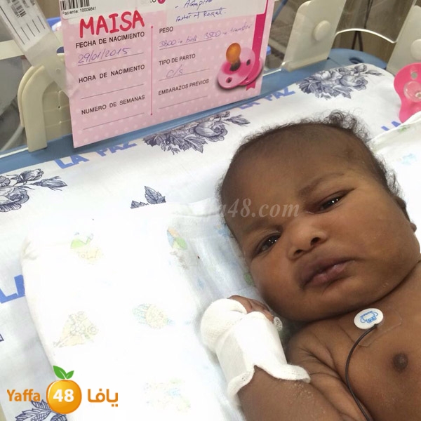 Maisa2 abo nar 3 (7).JPG